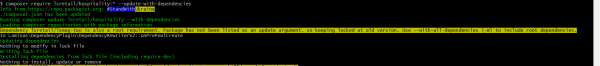 A screenshot of hospitality extension update command
